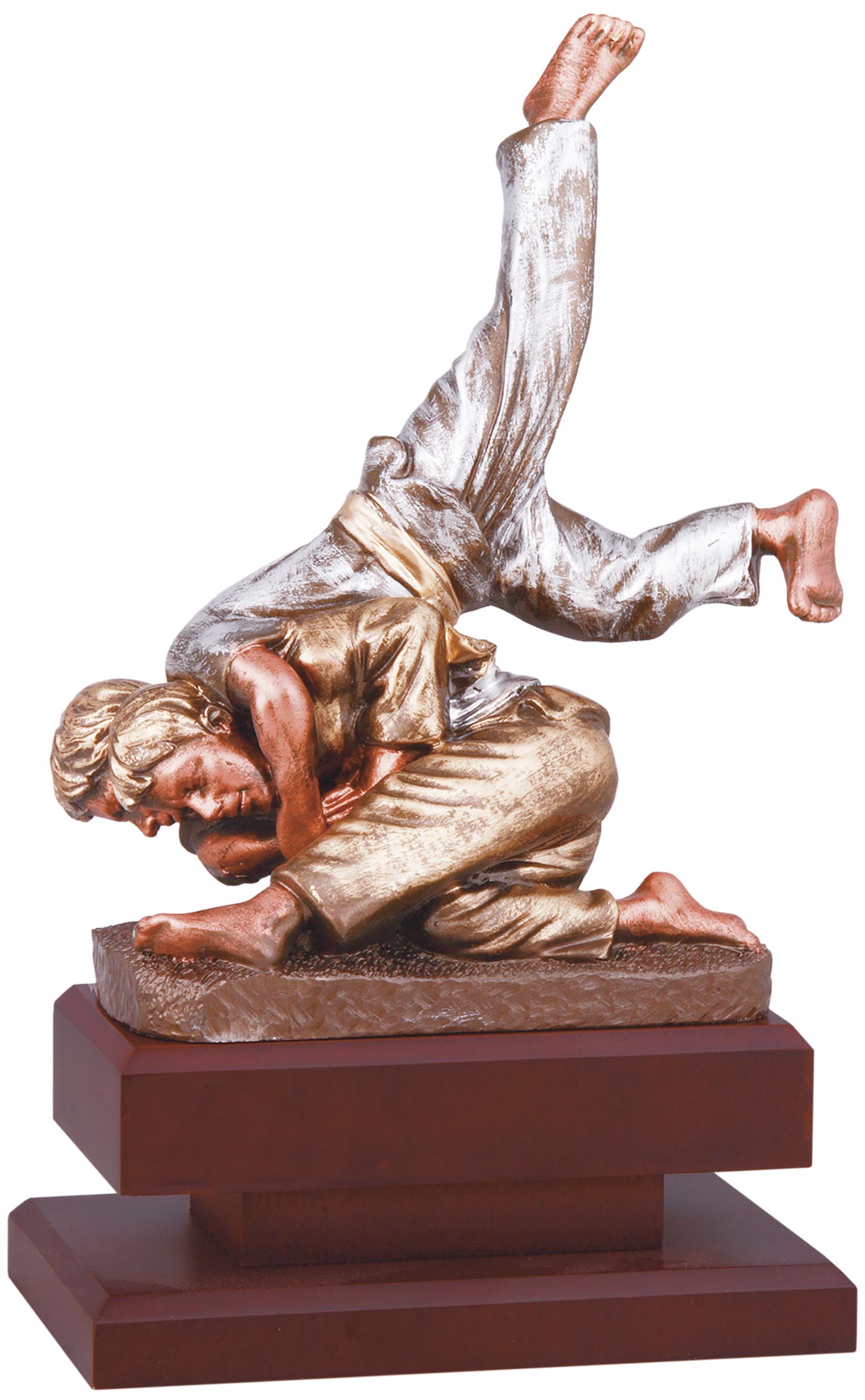 Trofeo Deportivo Yudo 6649