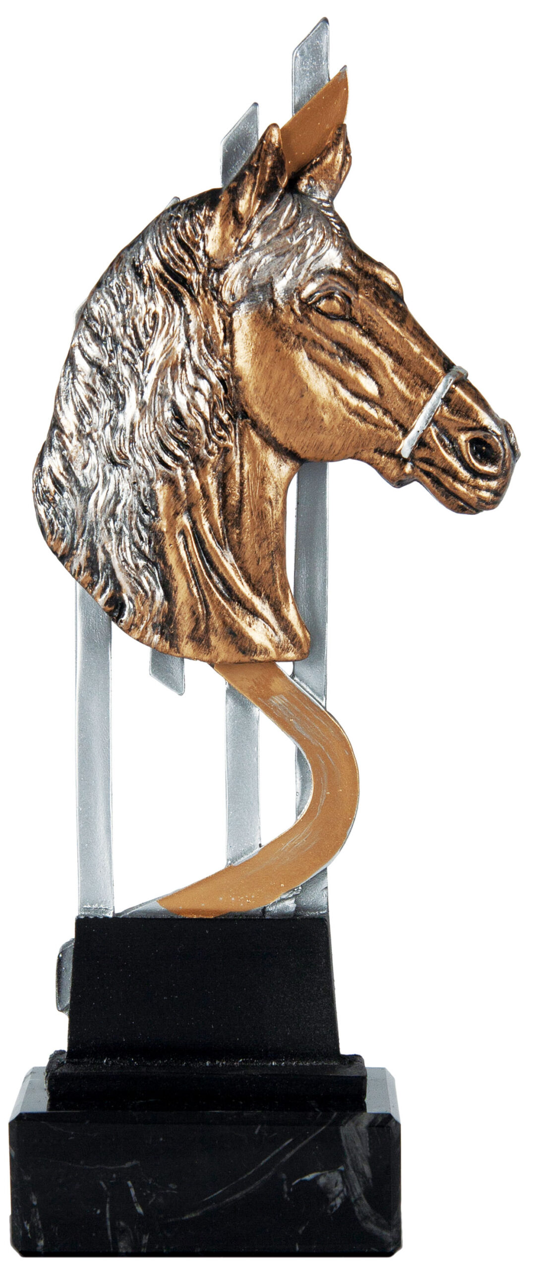 Trofeo Caballo 6672